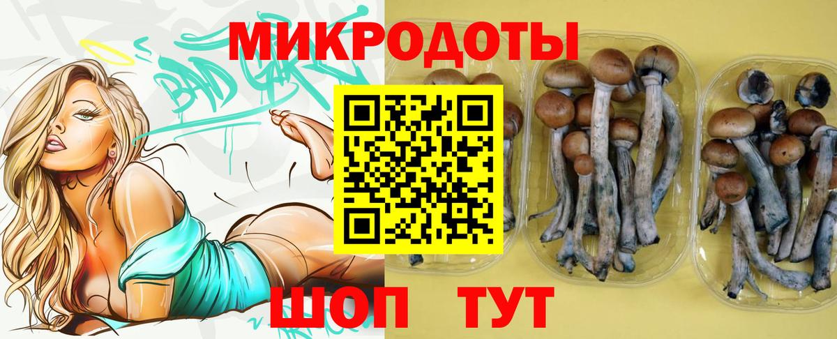 Галлюциногенные грибы Psilocybine cubensis Прокопьевск